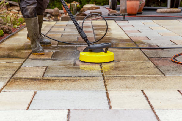 Best Pre-Holiday Cleaning  in Lewistown, IL